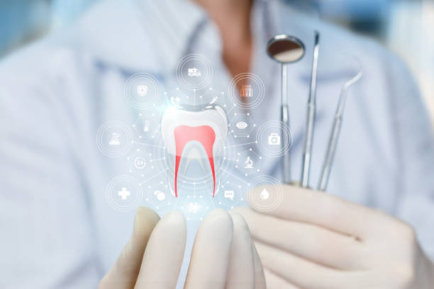 Professional  Holistic Dental Services in Camp Pendleton South, CA